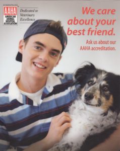 AAHA information with We care about your best friend text
