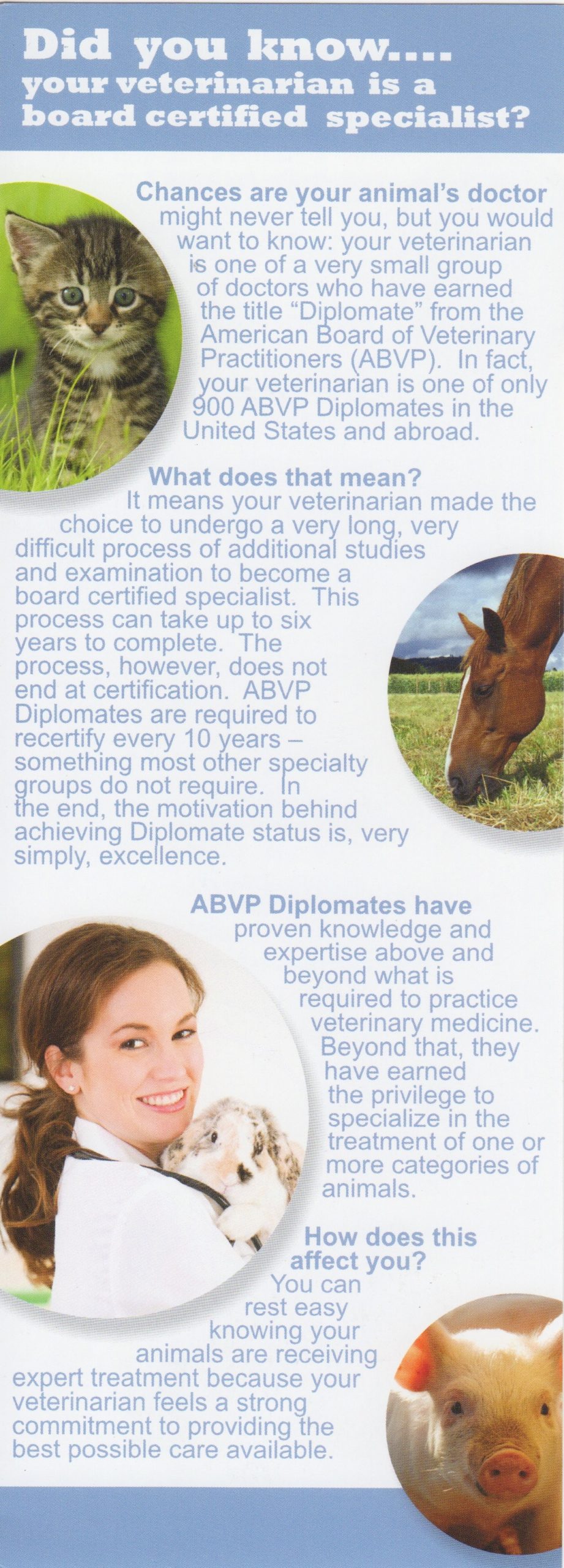 AAHA information with Did you know...your veterinarian is a board certified specialist text